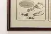 Thumbnail image 5