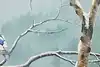Thumbnail image 9