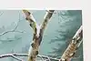 Thumbnail image 4