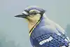 Thumbnail image 7