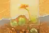 Thumbnail image 1