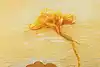 Thumbnail image 4