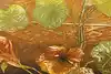 Thumbnail image 5