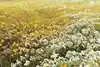 Thumbnail image 9