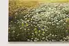 Thumbnail image 5