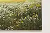 Thumbnail image 6
