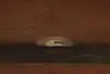 Thumbnail image 16