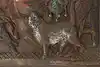 Thumbnail image 4