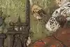 Thumbnail image 5