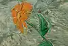 Thumbnail image 11