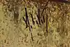 Thumbnail image 16