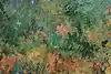 Thumbnail image 11