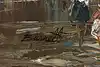 Thumbnail image 11