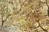 Thumbnail image 10