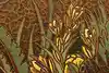Thumbnail image 6