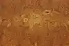 Thumbnail image 17