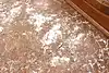 Thumbnail image 18