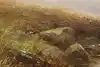 Thumbnail image 8