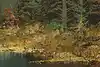 Thumbnail image 9