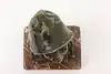 Thumbnail image 9