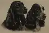 Thumbnail image 7