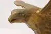 Thumbnail image 2