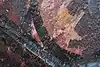 Thumbnail image 13