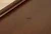Thumbnail image 20