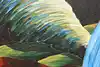 Thumbnail image 16