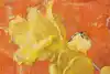 Thumbnail image 6