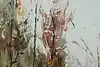 Thumbnail image 9