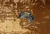 Thumbnail image 24