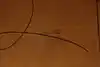 Thumbnail image 22