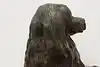 Thumbnail image 12