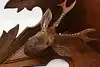 Thumbnail image 8