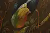 Thumbnail image 17