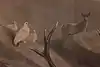 Thumbnail image 9