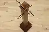 Thumbnail image 16