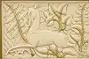 Thumbnail image 24