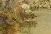 Thumbnail image 9