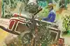 Thumbnail image 9