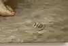Thumbnail image 8
