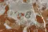 Thumbnail image 18