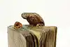 Thumbnail image 5