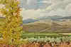 Thumbnail image 7
