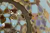 Thumbnail image 9
