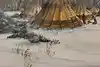 Thumbnail image 10