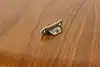 Thumbnail image 16