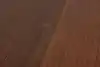 Thumbnail image 32