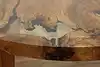 Thumbnail image 21